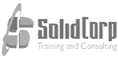 PT SolidCorporation - Consultant and training